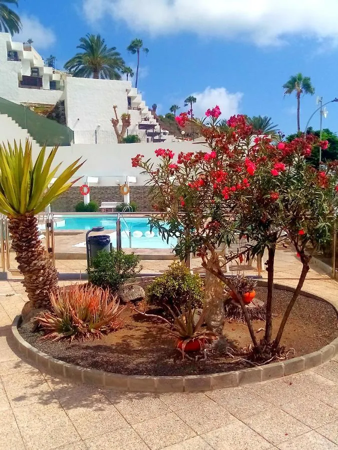 Most Sunny Days On Gran Canaria Puerto Rico  Apartment