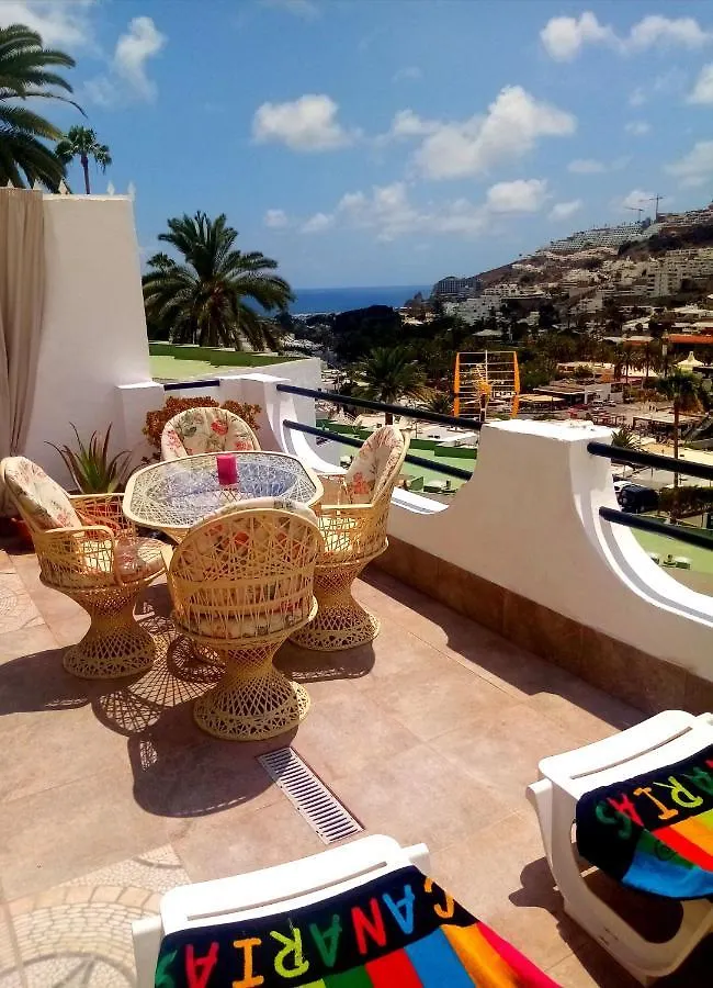 Most Sunny Days On Gran Canaria contacts