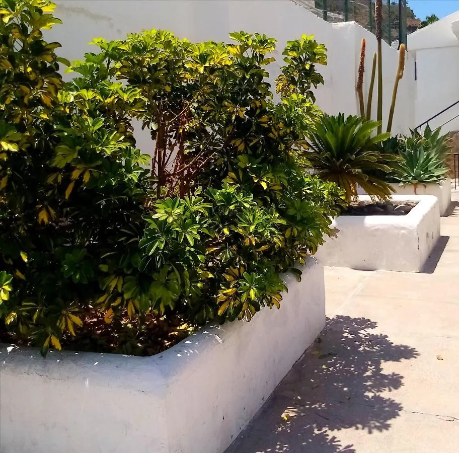 Apartment Most Sunny Days On Gran Canaria Puerto Rico