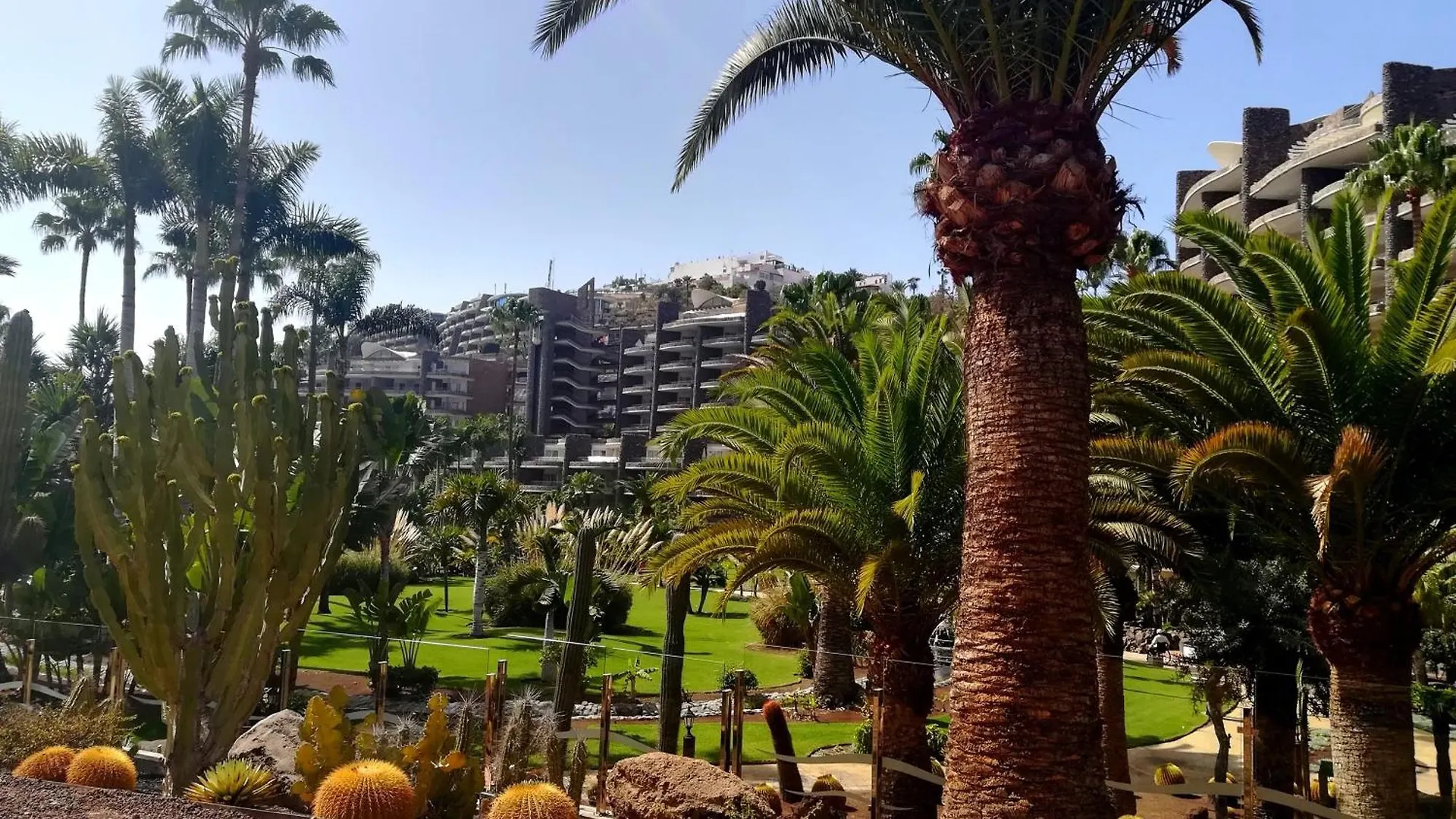 Apartment Most Sunny Days On Gran Canaria Puerto Rico  Spain